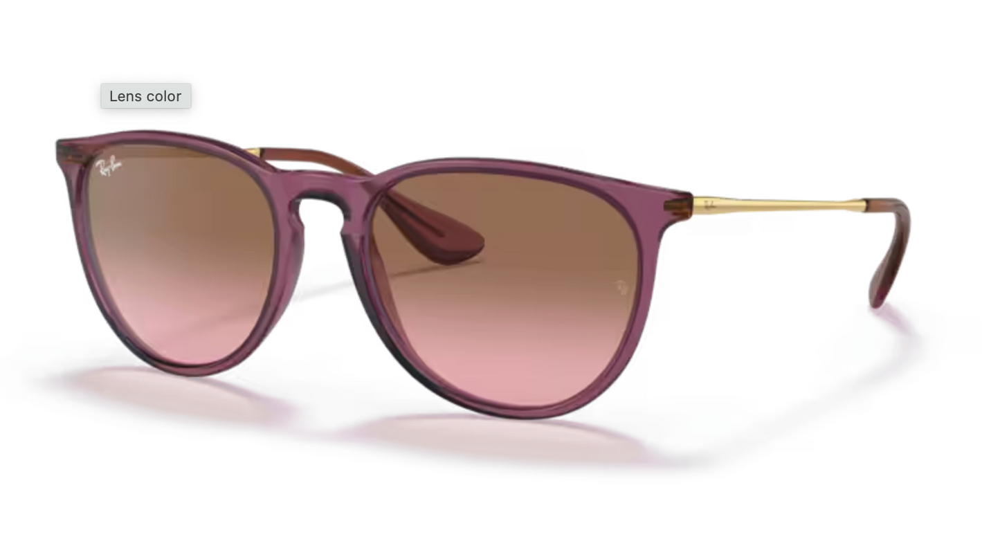 Ladies Violet and Gold Round RayBan Frames