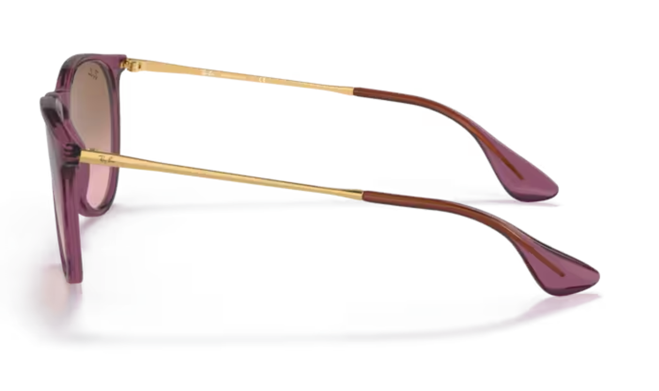 Ladies Violet and Gold Round RayBan Frames
