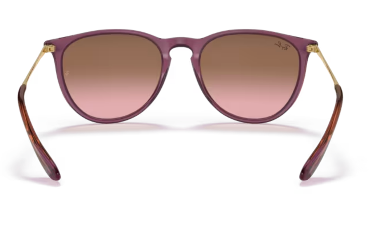Ladies Violet and Gold Round RayBan Frames