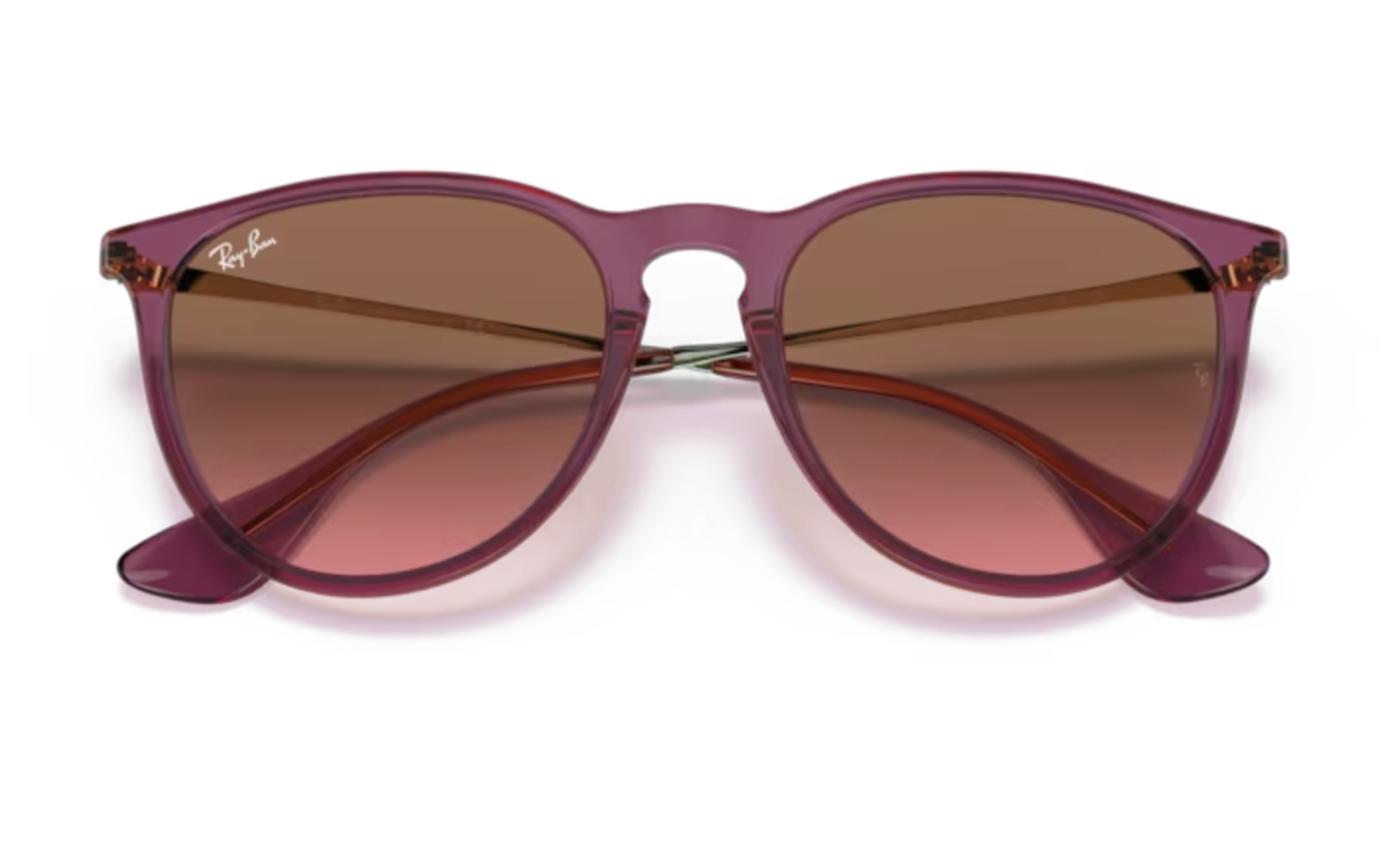 Ladies Violet and Gold Round RayBan Frames