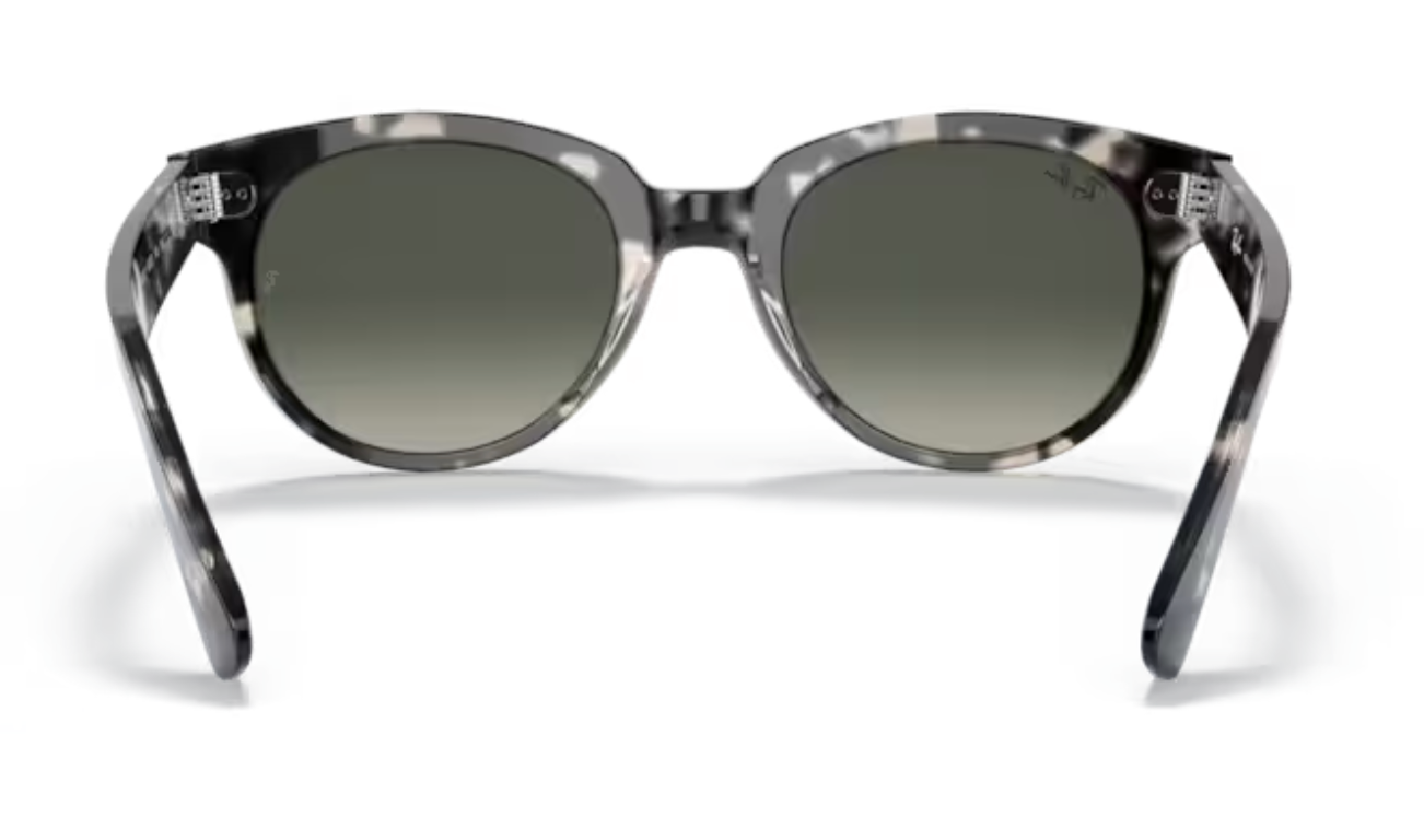 RayBan Grey Havana Unisex Frames