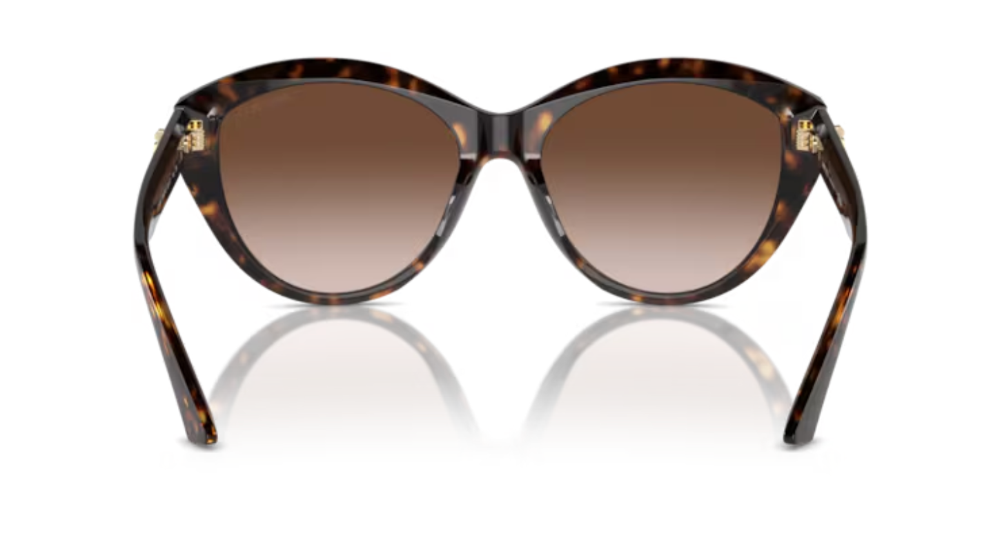 Jimmy Choo Brown Havana Cat Eye Frames